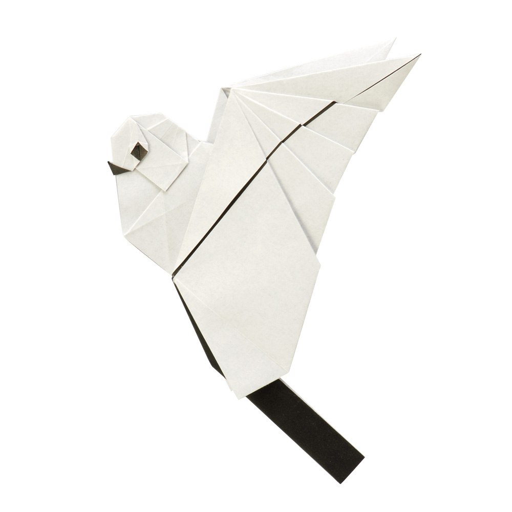 Flapping Long-tailed Tit